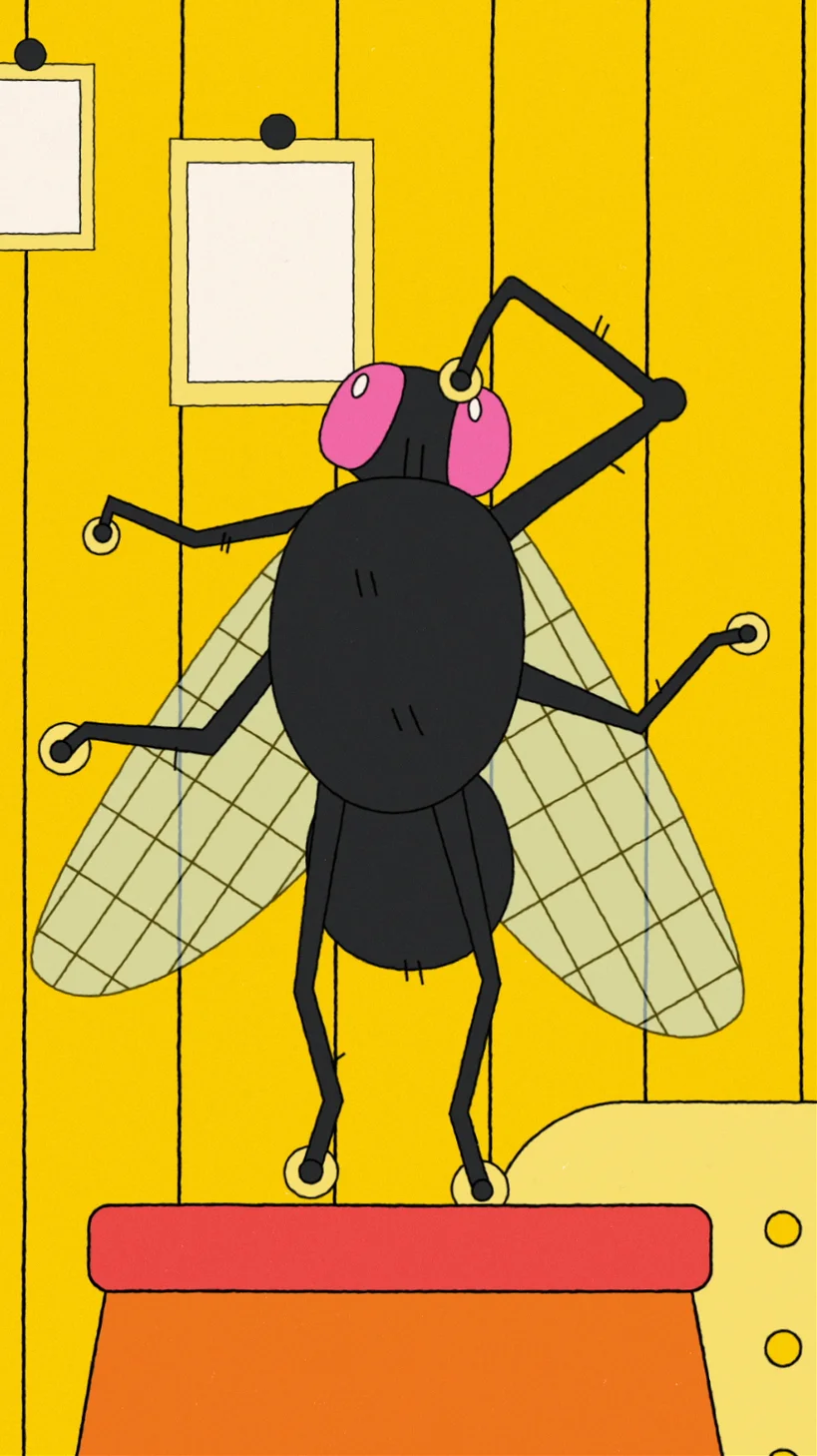 Comment les mouches se posent-elles au plafond ? — image 3