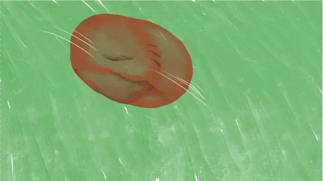 Animation pour un documentaire sur des jeunes sortis d’orphelinat — image 3
