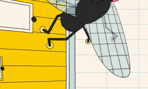 Portfolio du studio d’animation Betooned — illustration 10